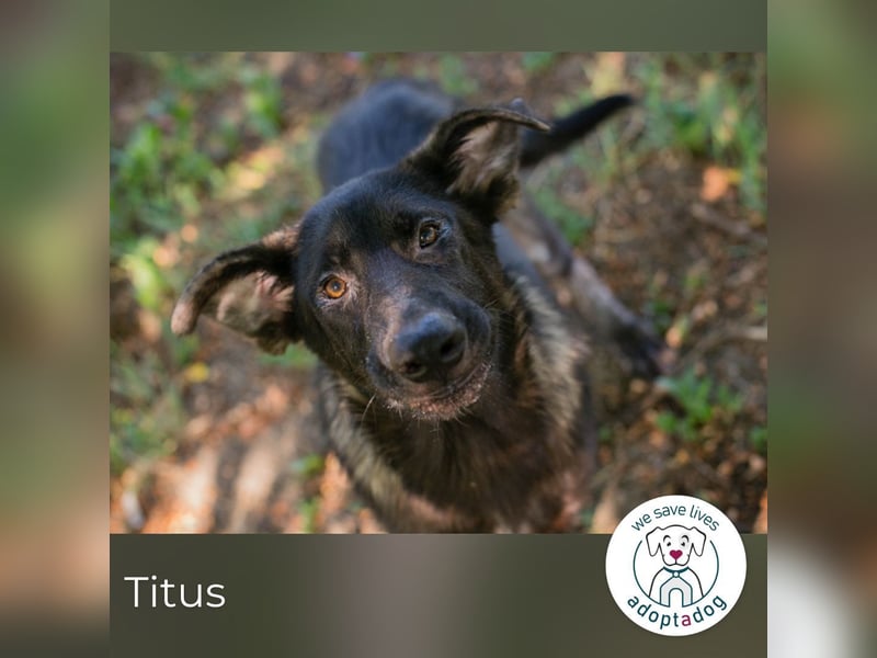 Titus: Bereit für einen Neuanfang