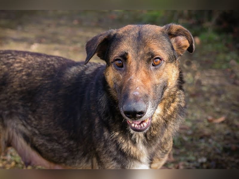 Priya: Schenke mir Liebe!