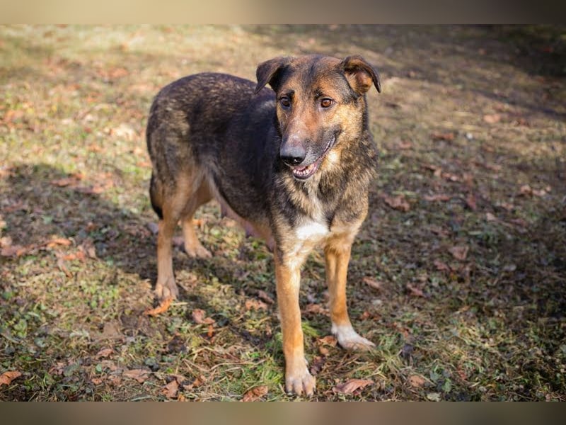 Priya: Schenke mir Liebe!