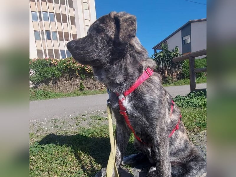 CHANEL - die Zauberhafte