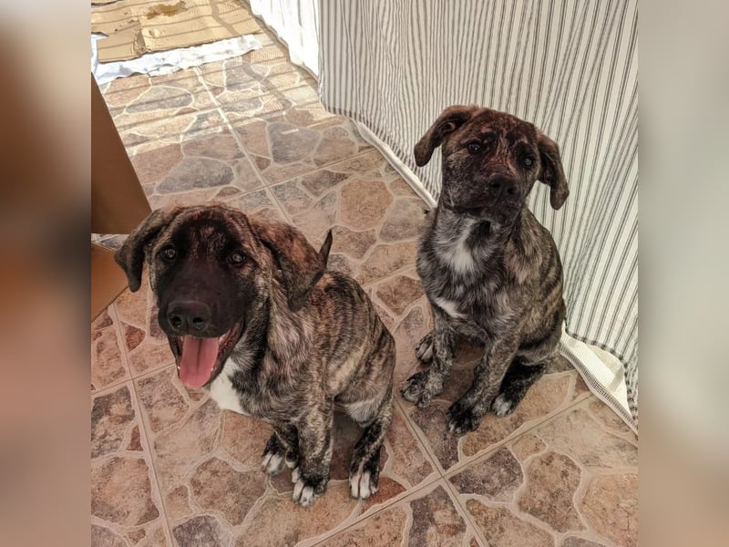 CHANEL - die Zauberhafte