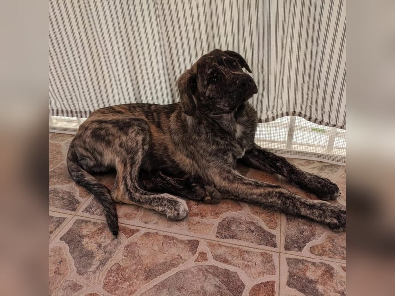 CHANEL - die Zauberhafte