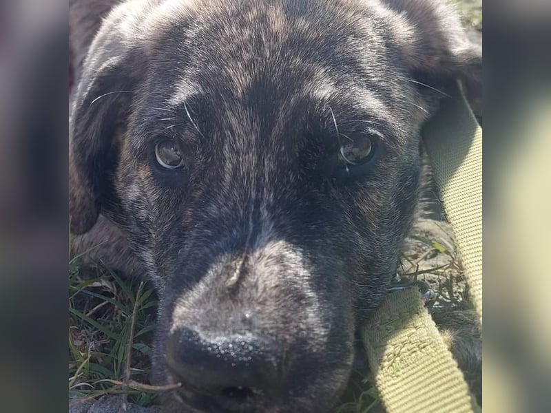 CHANEL - die Zauberhafte