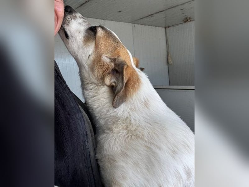 Romeo sucht nun in Deutschland sein Glück