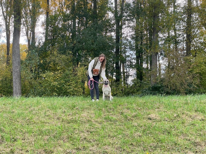 Luna Maus sucht ein herzliches Zuhause