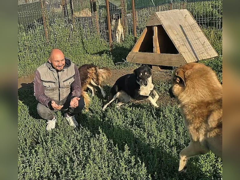 NABILIA ♥  - Gerettet aus der Tötung von Moreni