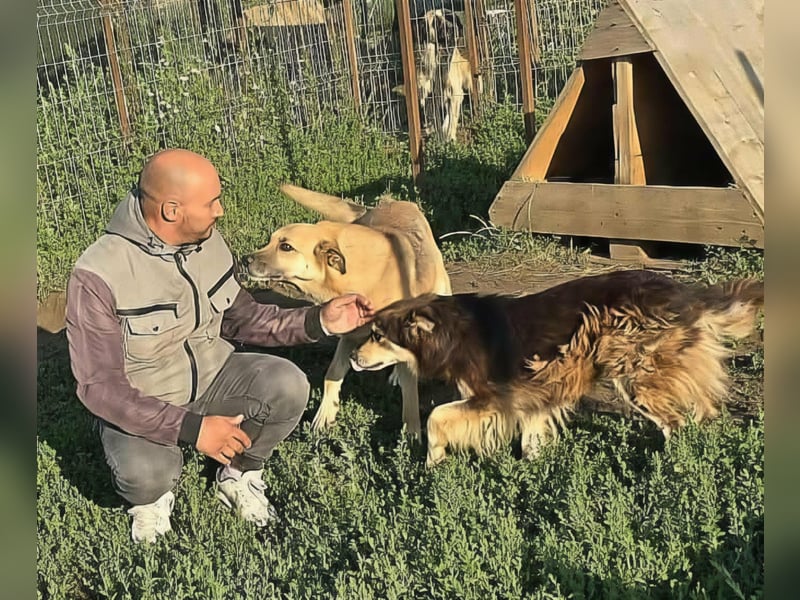 NABILIA ♥  - Gerettet aus der Tötung von Moreni