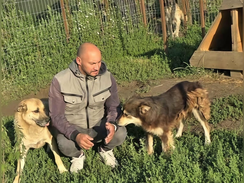NABILIA ♥  - Gerettet aus der Tötung von Moreni