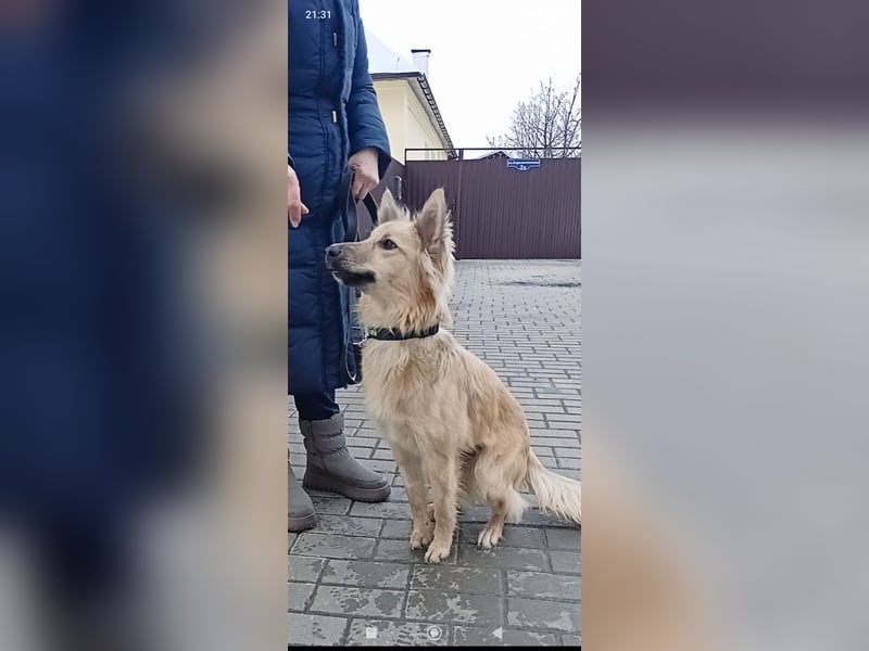 Bertha sucht ihr Für -immer -Zuhause ❤️❤️❤️