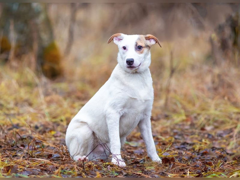 Aufgeschlossener Lord sucht aufgeschlossene Menschen