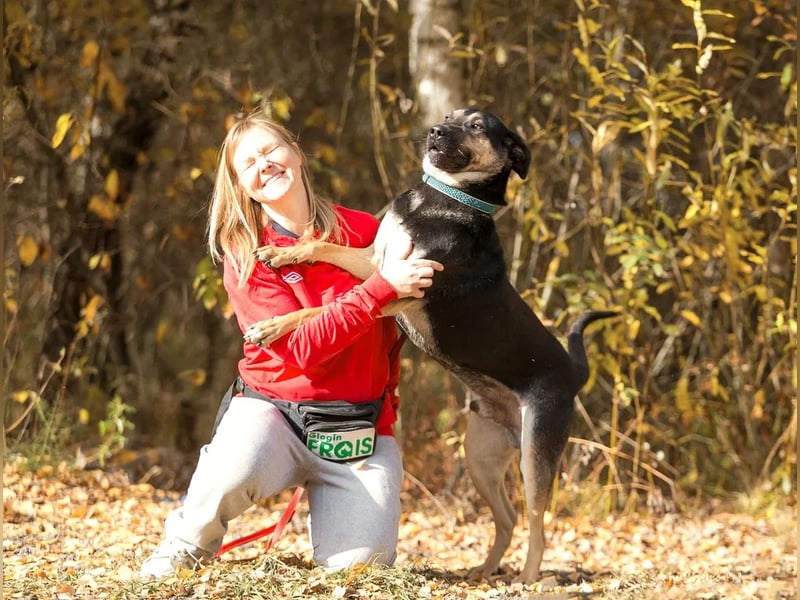 Sean sucht seine begleiter fürs leben