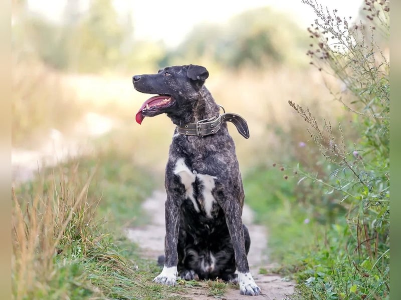 Menschenbezogener Chicago will geliebt werden
