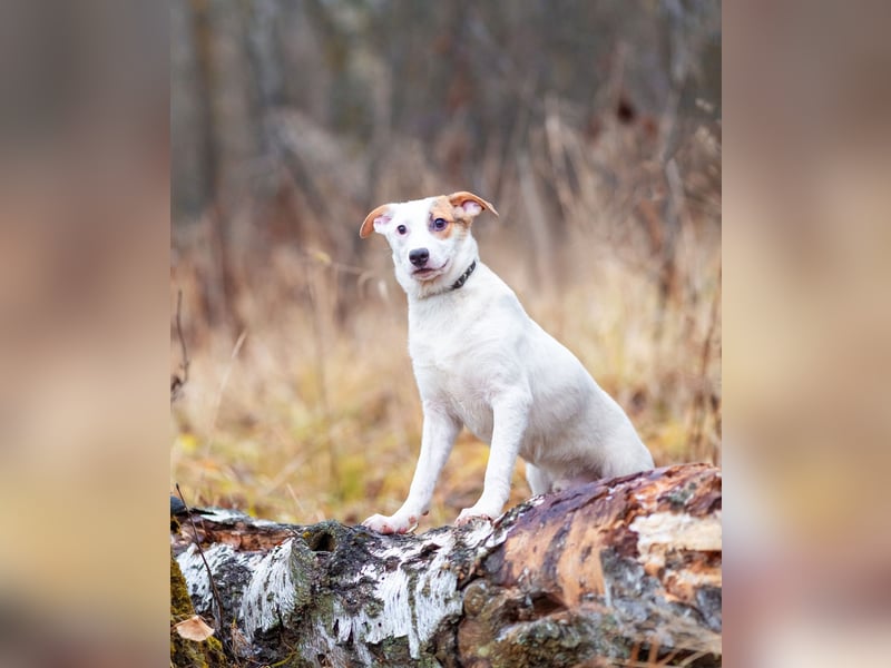 Aufgeschlossener Lord sucht aufgeschlossene Menschen
