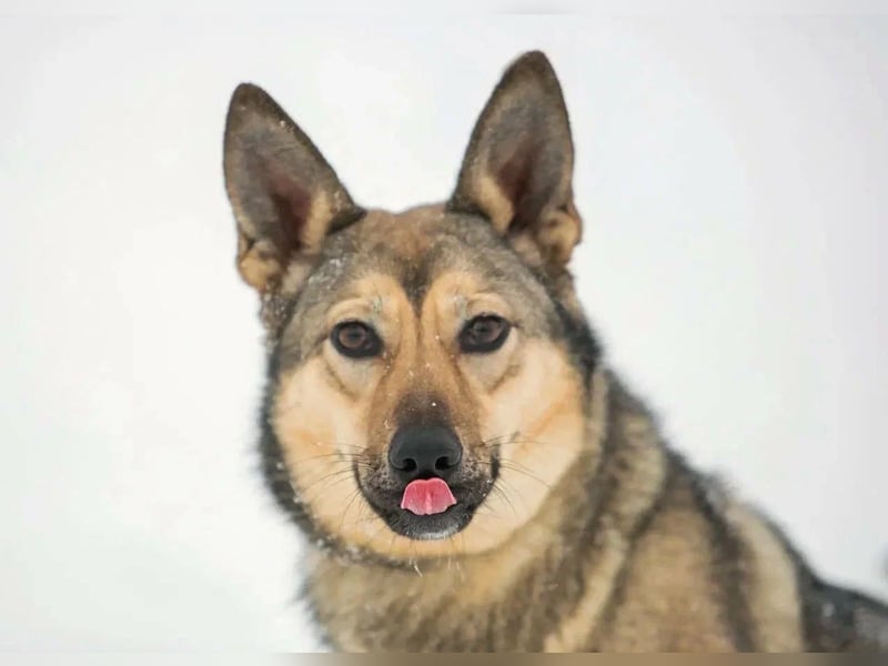 Aktive Bulochka sucht aktive Menschen