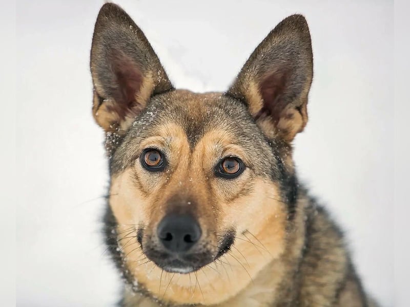 Aktive Bulochka sucht aktive Menschen