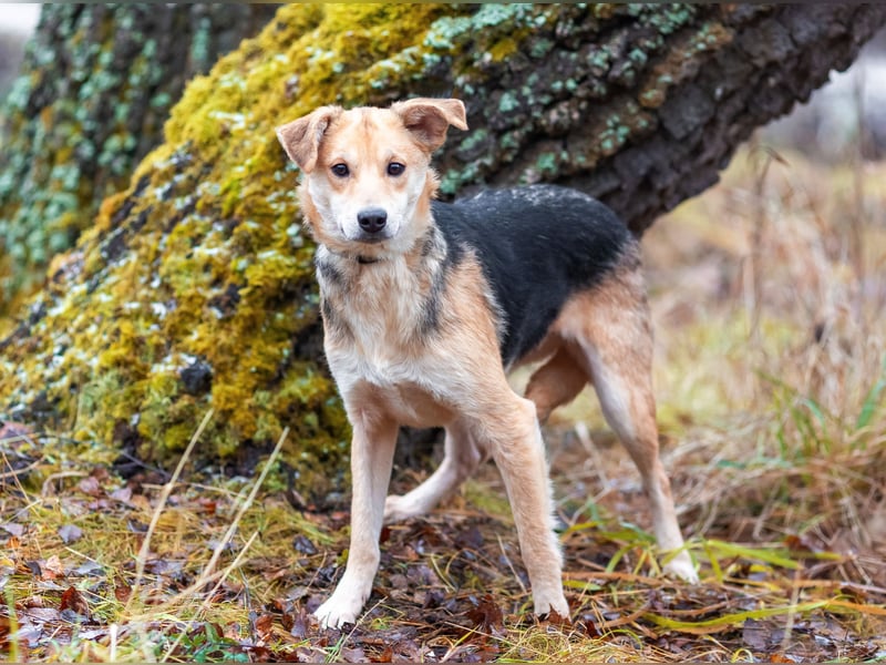 Asya ist schüchtern aber mit viel liebe...