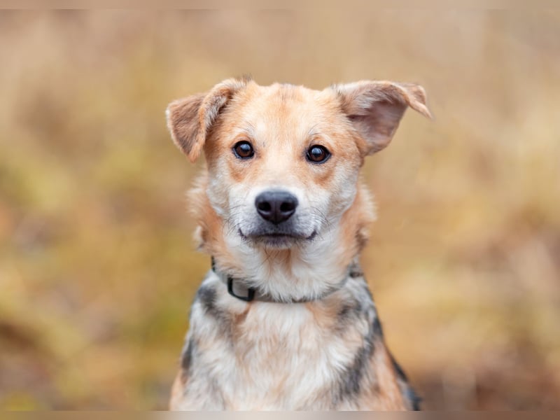 Asya ist schüchtern aber mit viel liebe...