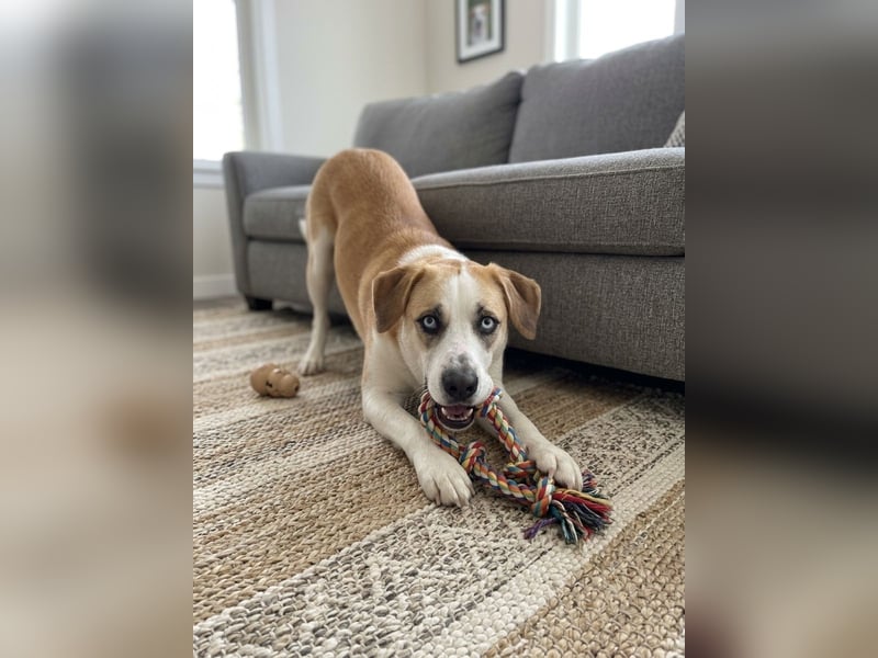 Jessie sucht ein aktives Leben