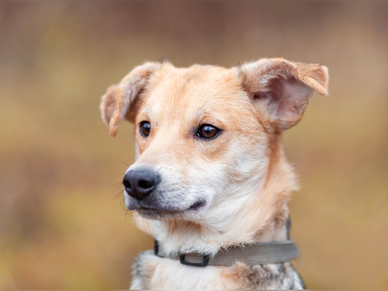 Asya ist schüchtern aber mit viel liebe...