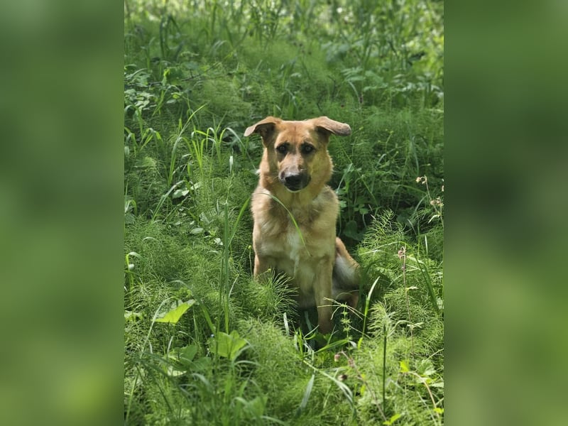 Zauberhafte Nadia sucht ihre menschen