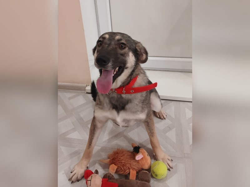 Verzaubert Lori dich mit ihren augen ?!