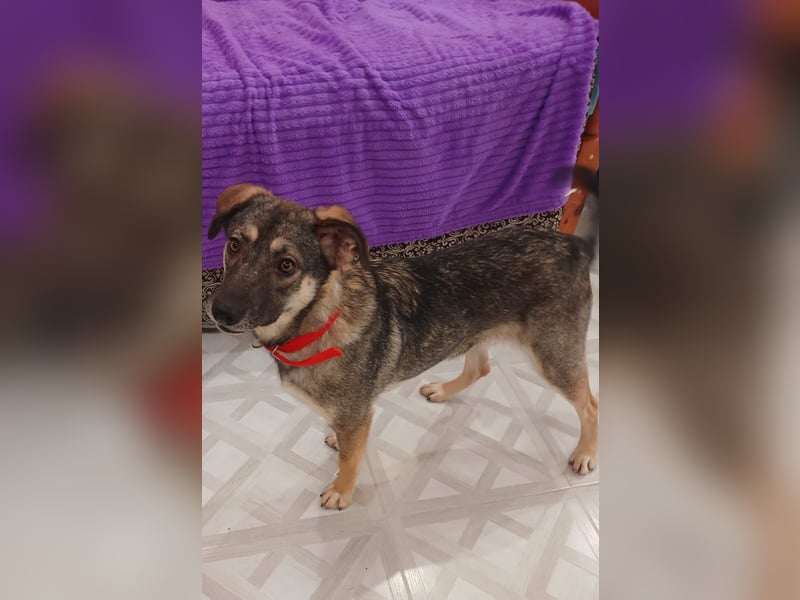 Verzaubert Lori dich mit ihren augen ?!