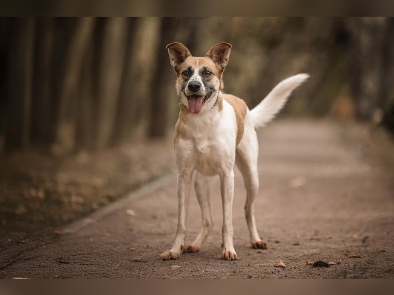 Marta hat noch so viel Lebensfreude