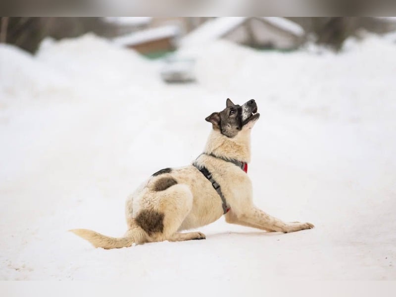 Julia will liebe und Geborgenheit