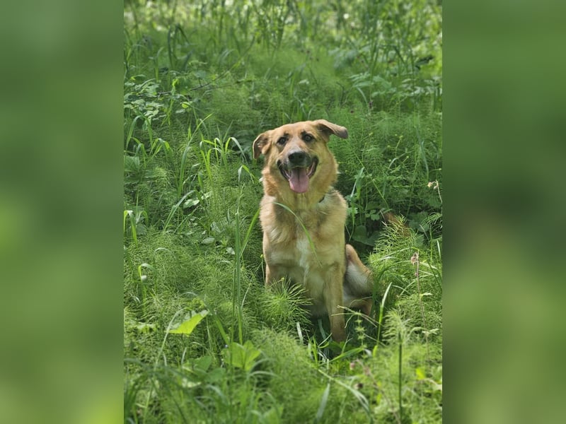 Zauberhafte Nadia sucht ihre menschen