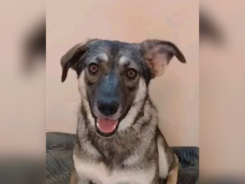 Verzaubert Lori dich mit ihren augen ?!