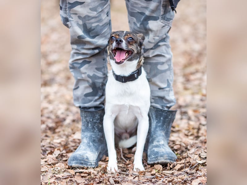 Gesseliger Peter sucht dich ...