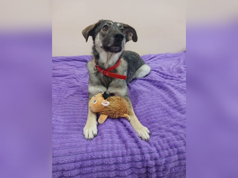 Verzaubert Lori dich mit ihren augen ?!