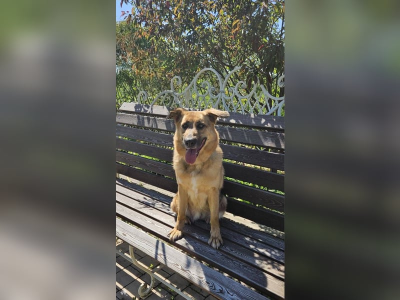 Zauberhafte Nadia sucht ihre menschen