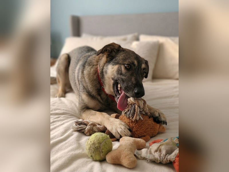 Verzaubert Lori dich mit ihren augen ?!