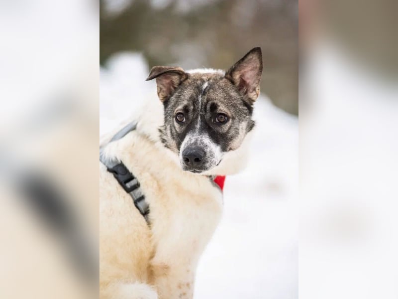 Julia will liebe und Geborgenheit