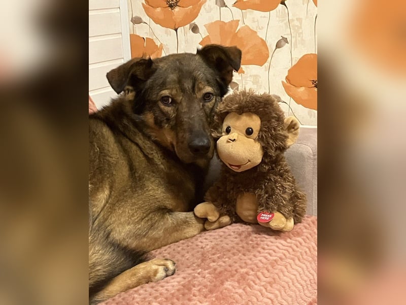 Marquise sucht liebevolle Menschen