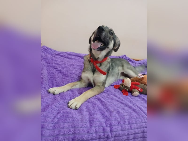 Verzaubert Lori dich mit ihren augen ?!