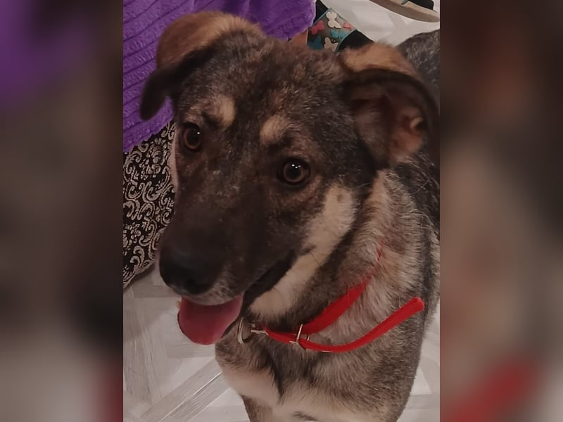 Verzaubert Lori dich mit ihren augen ?!