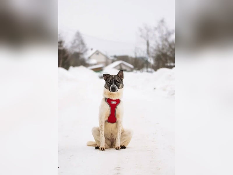 Julia will liebe und Geborgenheit