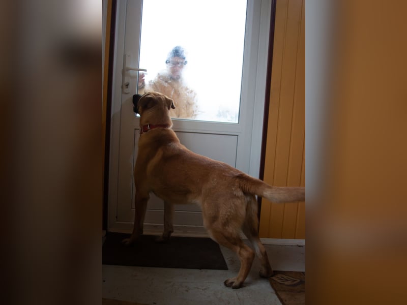 Junge hübsche Leia sucht Familie