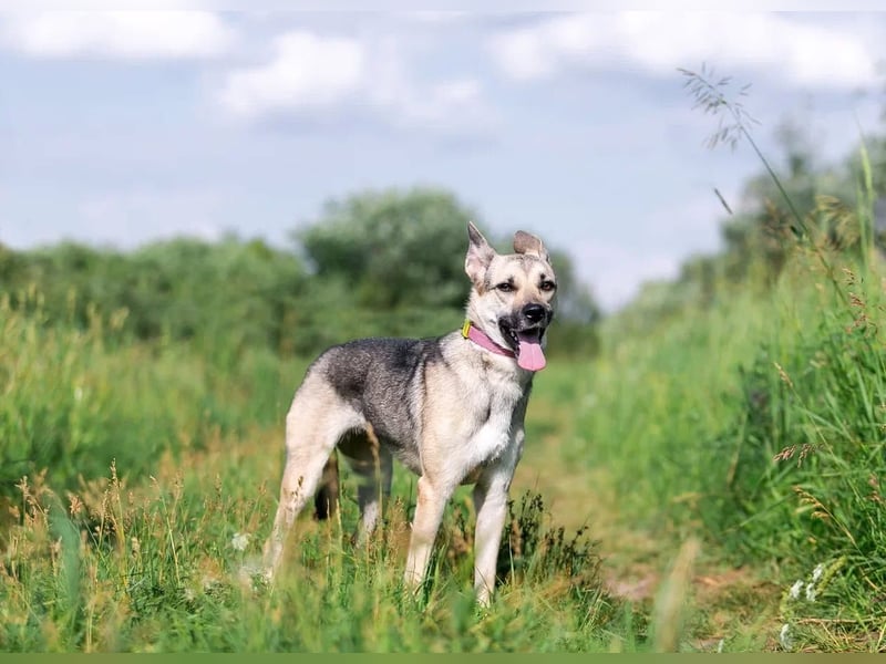 Mika sucht liebevolle Menschen