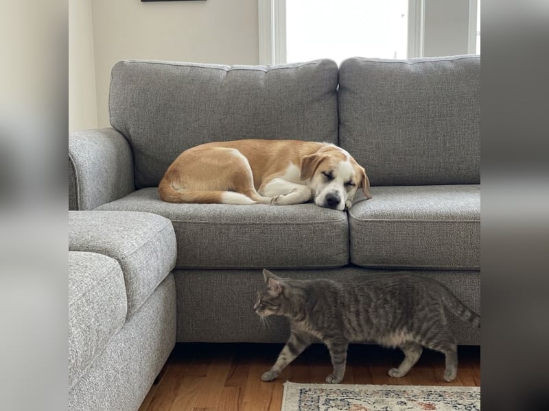 Jessie sucht ein aktives Leben