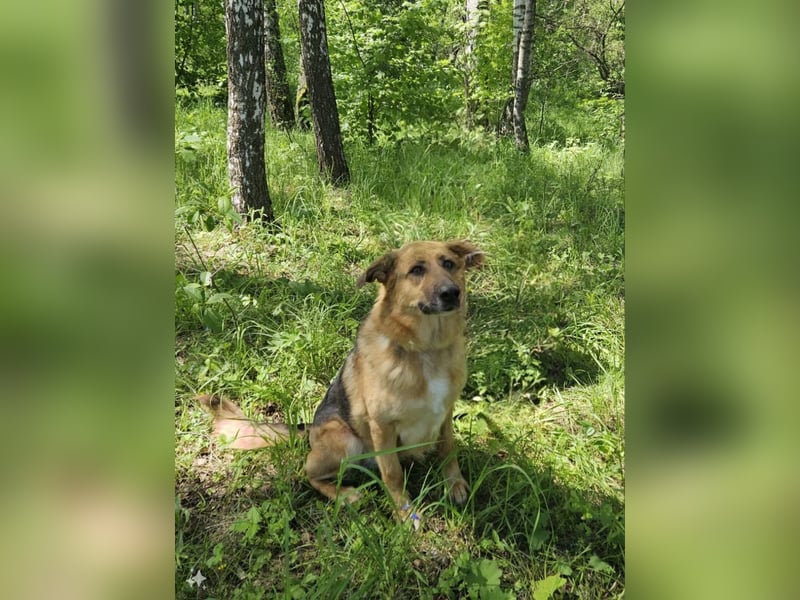 Zauberhafte Nadia sucht ihre menschen