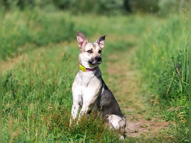 Mika sucht liebevolle Menschen