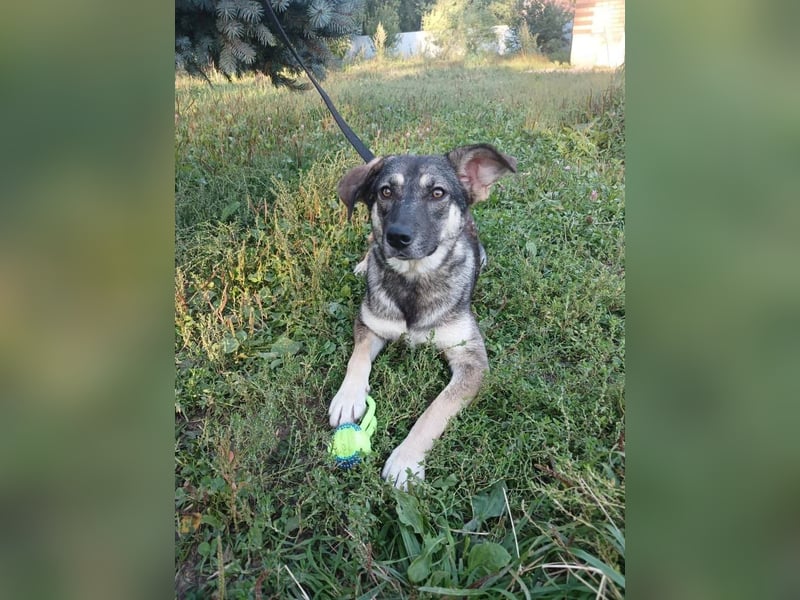 Verzaubert Lori dich mit ihren augen ?!