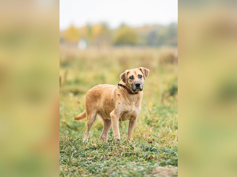 Blind und Taub sucht Pryanik seine Familie