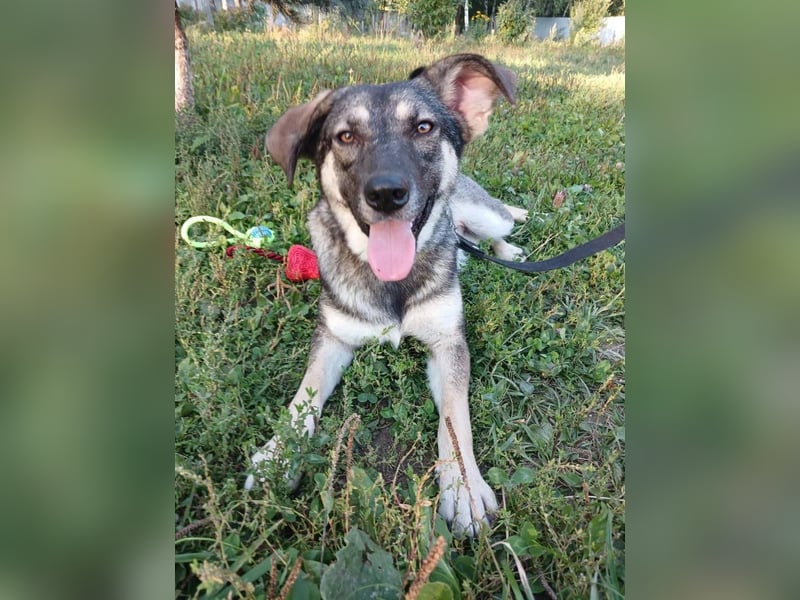 Verzaubert Lori dich mit ihren augen ?!
