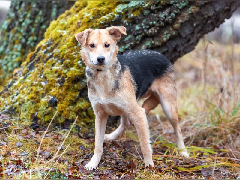 Asya ist schüchtern aber mit viel liebe...