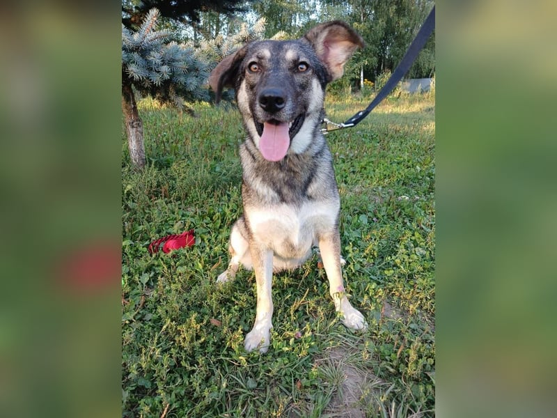 Verzaubert Lori dich mit ihren augen ?!