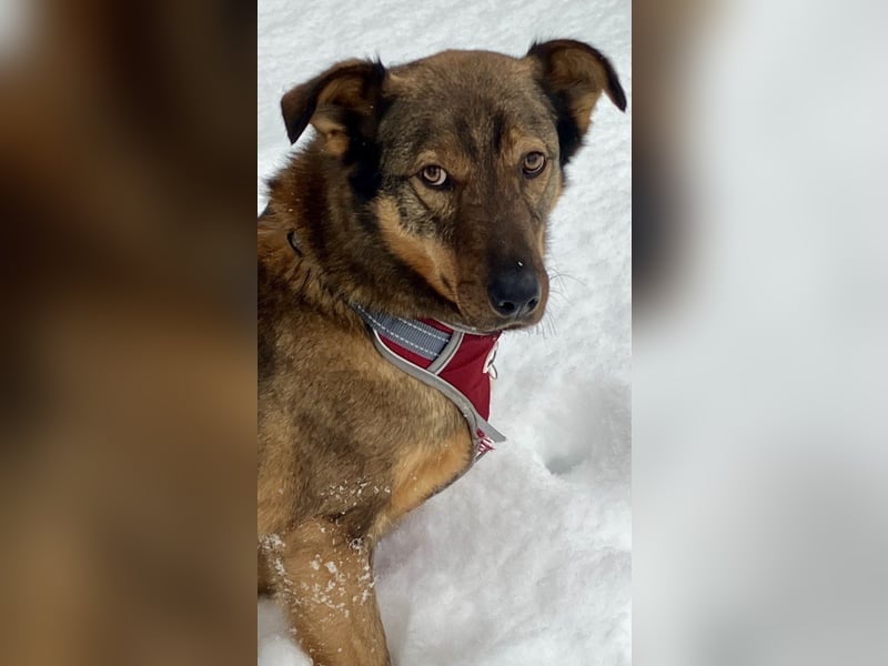 Marquise sucht liebevolle Menschen